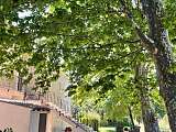 La Bri...Gite_L'Isle-sur-la-Sorgue