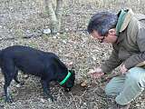 Chasse à la truffe_L'Isle-sur-la-Sorgue