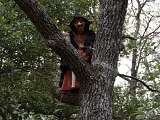 La Forêt Enchantée_Venasque