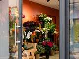 Atelier Provence - Fleuriste_L'Isle-sur-la-Sorgue