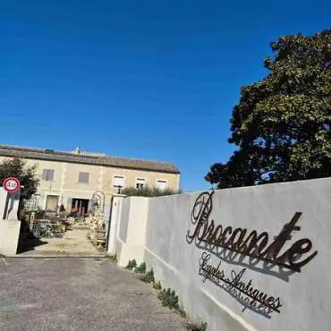 Ancient cicadas - Brocante