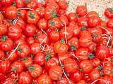 tomates