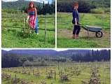 Le Jardin de Nathalie_Saumane-de-Vaucluse