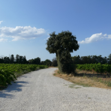 A07 Balade & Découverte - La Balade des Copines - EN
