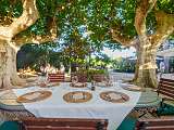 Terrasse Platanes