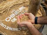 Les Chineurs de Malts - Artisans Distillateurs