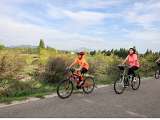 Escapades au Pays des Sorgues en famille_Villeneuve-lez-Avignon