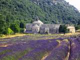 Abbaye de Sénanque