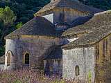 Abbaye de Sénanque
