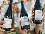 Bouteilles du domaine