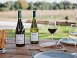 Apéritif sous le platane