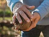 Terroir