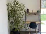 Coin Bureau