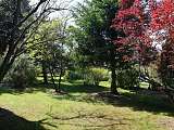 Parc Arboré