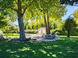 Jardin avec platanes