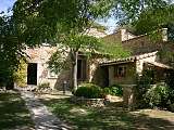 Le patio