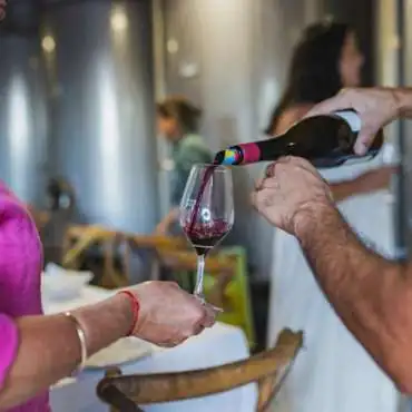 Stays in exceptional vineyards in L'Orélianne