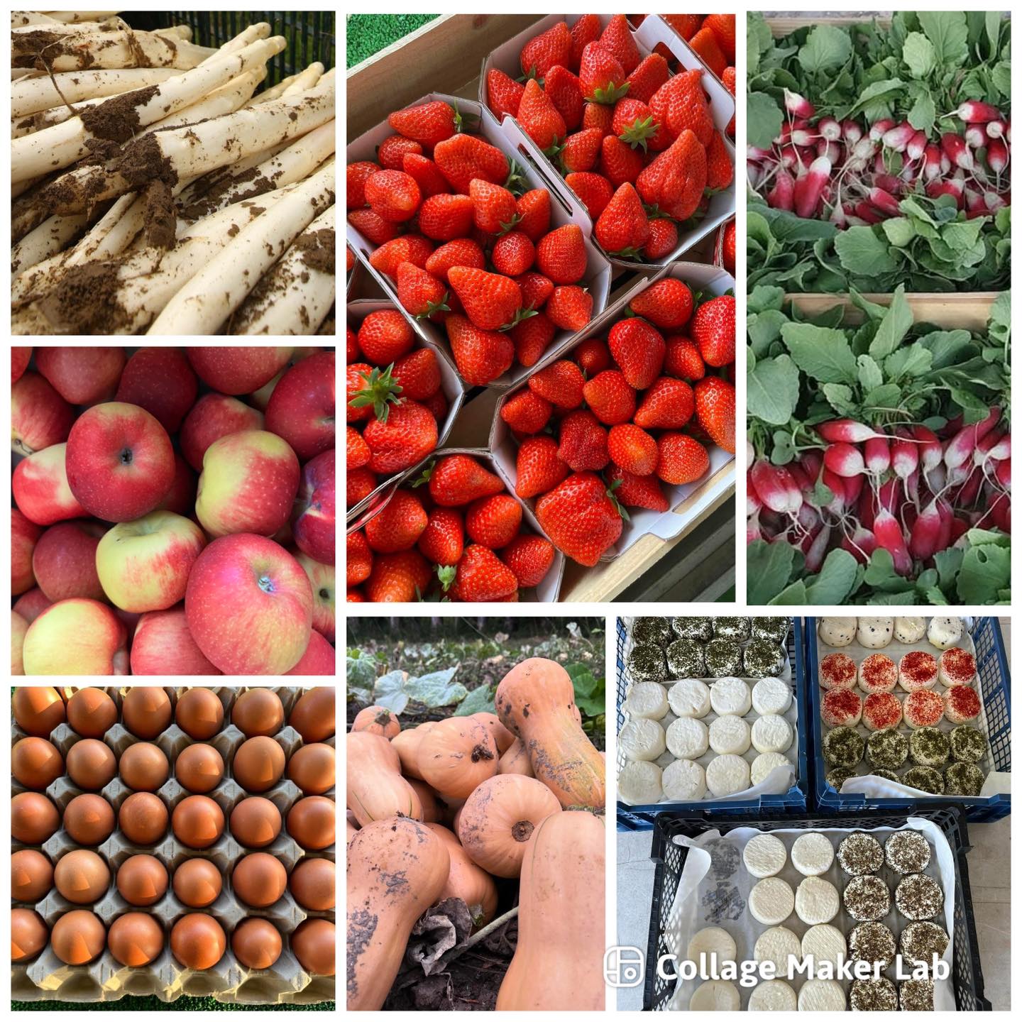 Products sold at Les Vergers de Bonpas, strawberries, squash