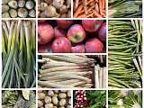 Légumes
