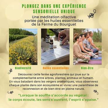 Expérience sensorielle à la Ferme du Bourguet - EN