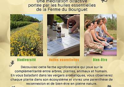 Expérience sensorielle à la Ferme du Bourguet - EN