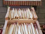 Nos asperges blanches