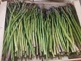 Nos asperges vertes