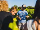 sunsetvigneron-chateauneufdegadagne-JULIENABELLAN2.jpg_compressed.JPEG