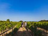 sunsetvigneron-chateauneufdegadagne-JULIENABELLAN9.jpg_compressed.JPEG