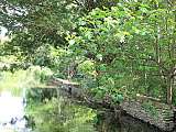 Bord de sorgue