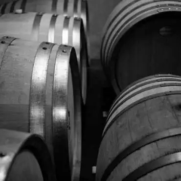 Cellar visit & tasting at Domaine de la Coquillade