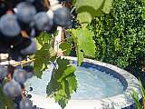 Jacuzzi