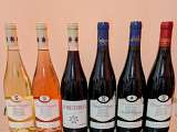 Vins