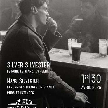 Exposition Silver Silvester - EN