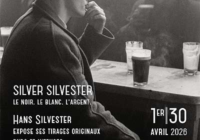 Exposition Silver Silvester - EN