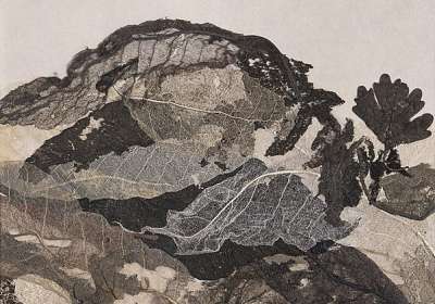 Balade contée autour de la nature - EN