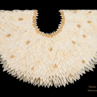 Visite guidée flash de l'exposition 