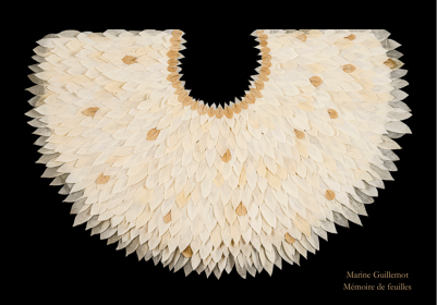 Visite flash de l'exposition 