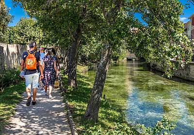 Balade en bord de Sorgue - EN