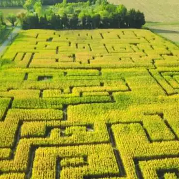 Labyrinth Les Hautes Herbes