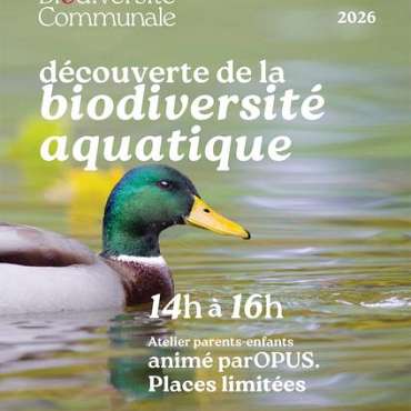 Découverte de la biodiversité aquatique - EN