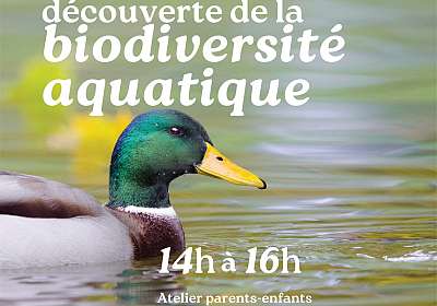 Découverte de la biodiversité aquatique - EN