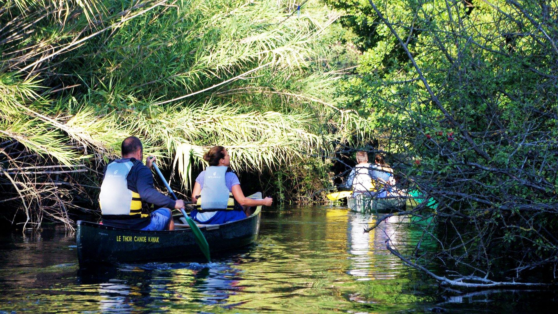 Several people were paddling in canoes on a narrow and shady passage in the river. The branches and foliage surround the boats, giving the impression of moving forward in a small wild and preserved plant tunnel.