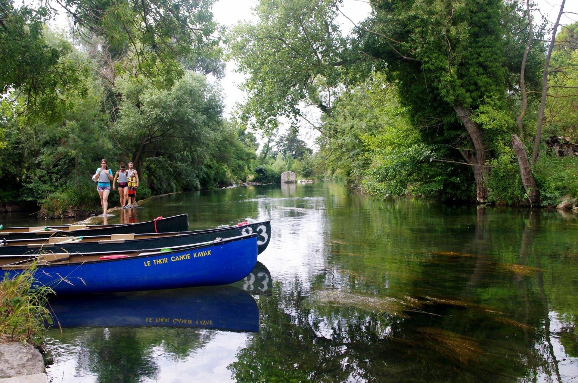 Canoes from the Thor Canoe Kayak Club moored on the crystal clear waters of the Sorgue, in a calm and green environment conducive to relaxation and natural leisure.