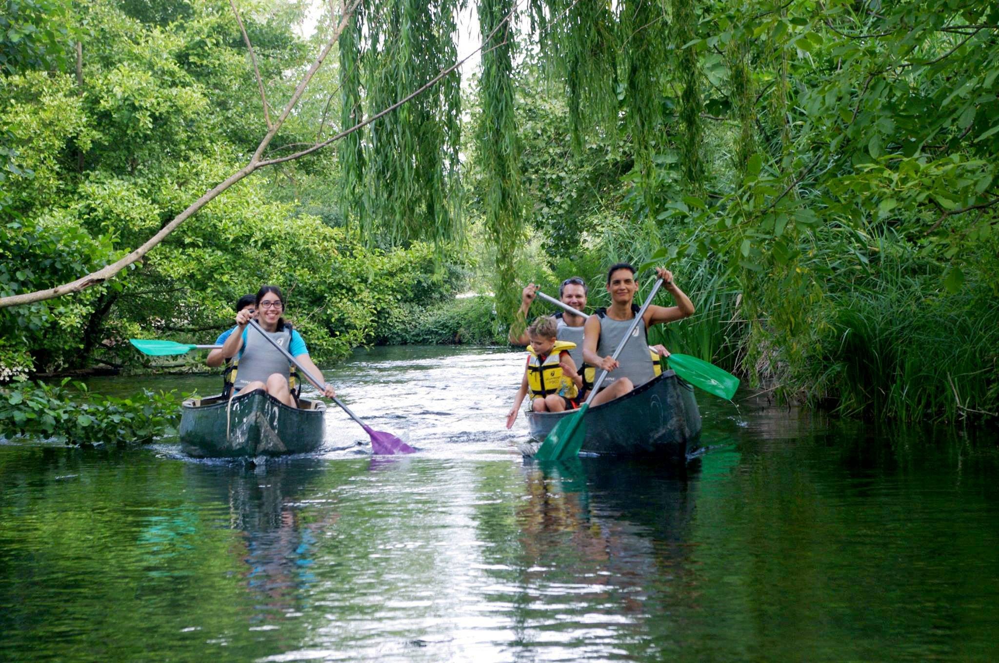 Family and friends enjoying a canoe trip with the Thor Canoe-Kayak Club, in the heart of a wild branch of the Sorgue surrounded by lush vegetation.