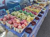 Marché de producteurs