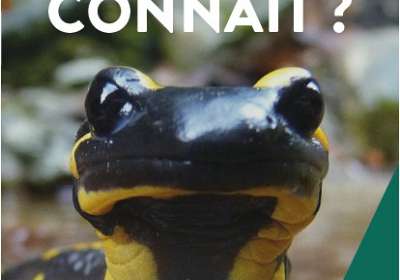 Rendez-vous Nature : Le Canal de Vaucluse, une Sorgue particulière - EN