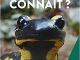 Découverte des aromatiques_Le Thor