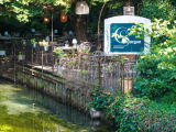 terrasse coté sorgue.png