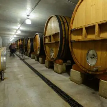 Clos du Calvaire - Wine estate